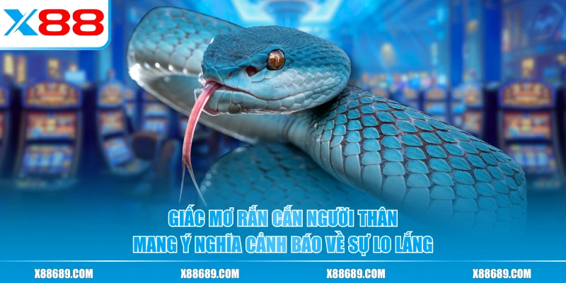 Giấc mơ rắn cắn người thân mang ý nghĩa cảnh báo về sự lo lắng